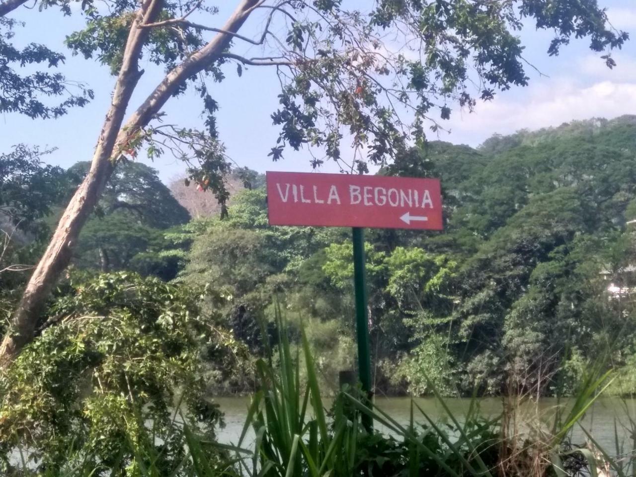 Villa Begonia Katugastota Buitenkant foto